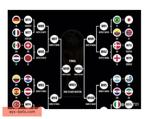 2026世界杯赛场风采全览城市魅力与赛事亮点解析