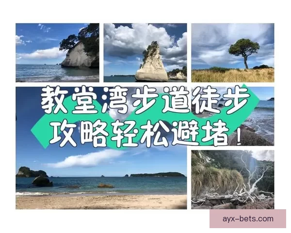 世界杯竞猜官网入口最新指南带你轻松掌握赛事预测技巧